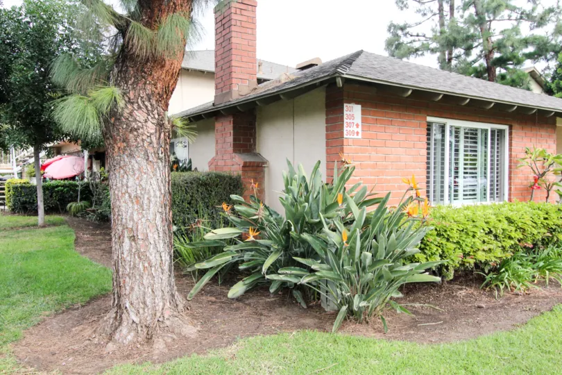 Beautiful neighborhood house with two stories and a lush green front yard