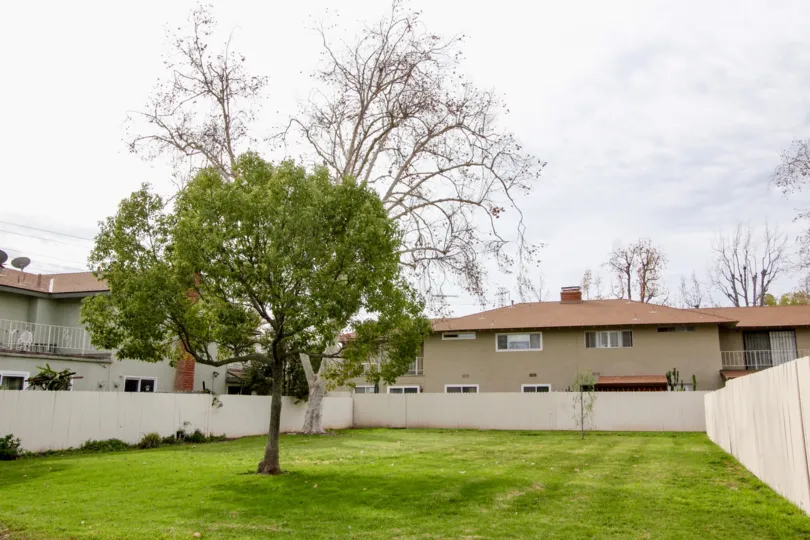 Golden Circle Orange California cute building with lone trees and plants decorated its side