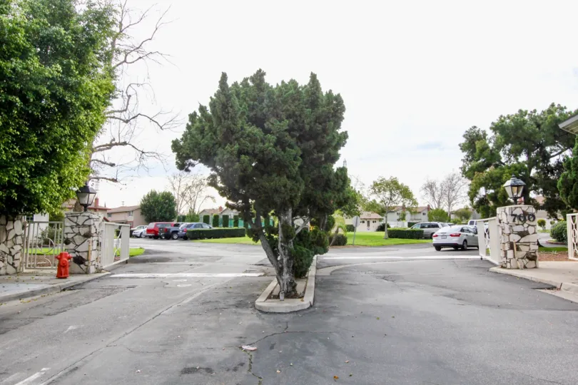 Golden Circle Orange California viewed as runway with broad roadside and trees in the middle