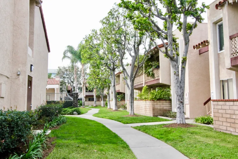 A beautiful tree-lined walkway between the buildings of La Veta Monterey