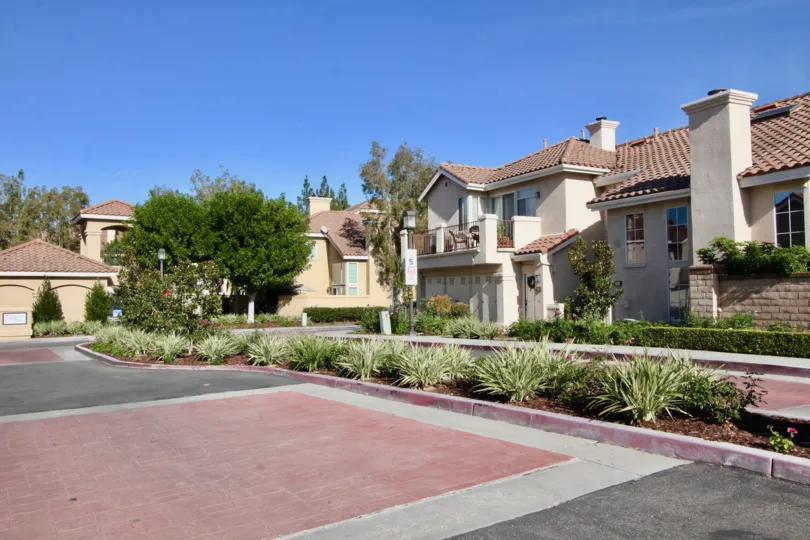 A sunny day in the Montevista community road with plants
