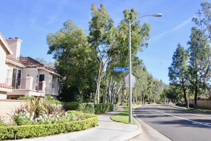 Winding road beside the Montevista community in Orange, California