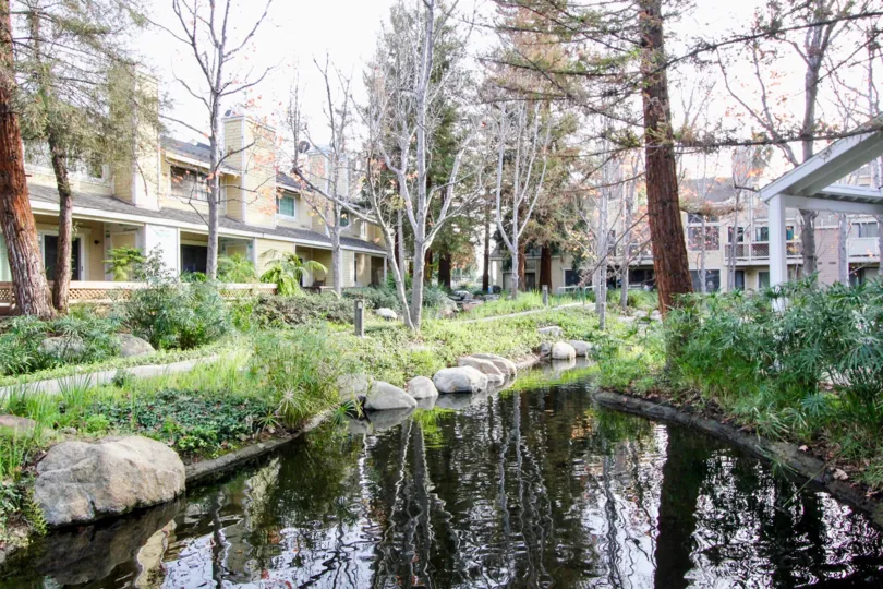 The home in morningside on the lake with nature landscape with trees, plants, ponds, lakes and houses.