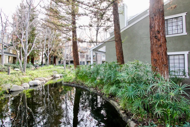 A home in morningside on the lake is very elegant city in california with canal, trees, plants and lakes.