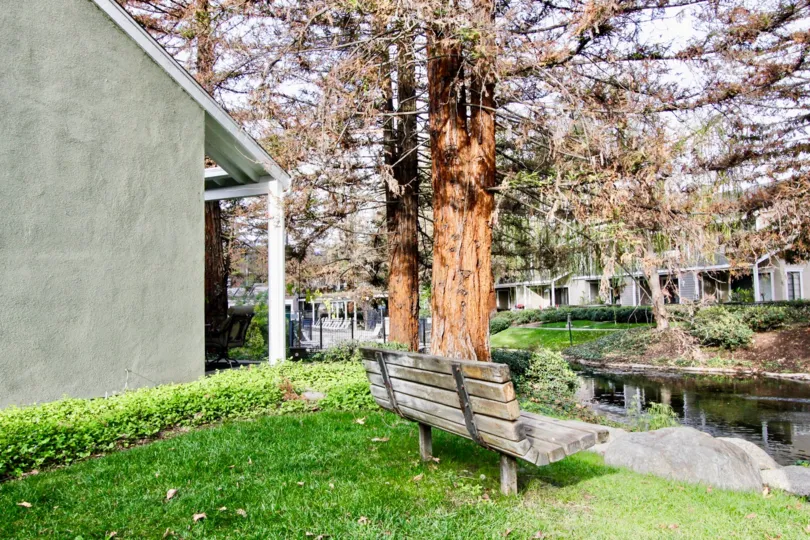 A bench by a tree in the Morningside on the Lake by a stream