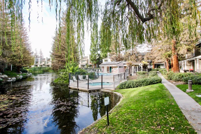 The pool and lake in the Morningside on the Lake community with trees and bushes.