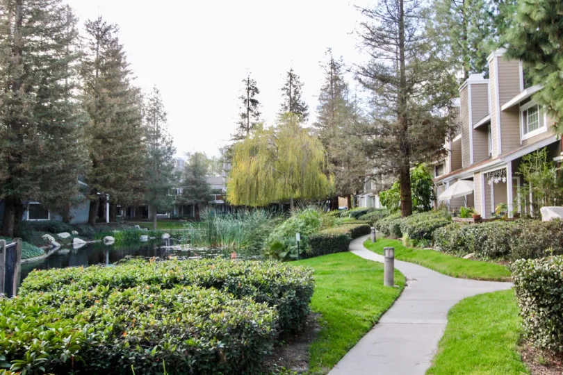 A path to the Lake of Morningside on the Lake with shrubs and trees