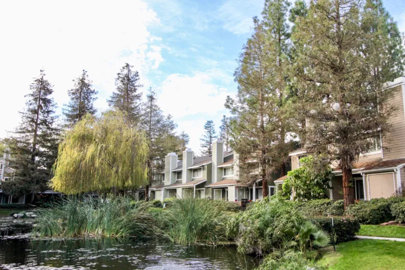 A lake in the Morningside On The Lake community with trees and bushes