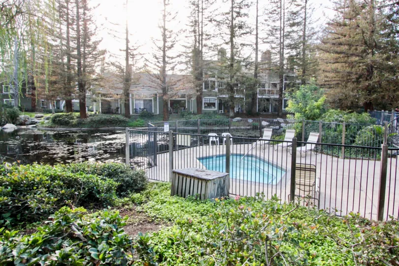 The Pool at Morningside On The Lake in Orange California