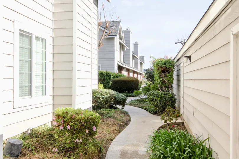 A sidewalk in the Orange Creek community with plants on either side
