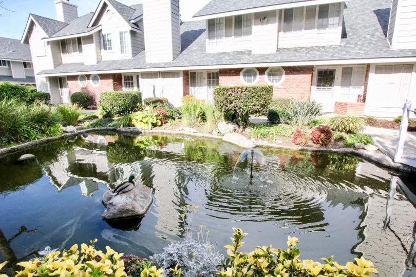 A clear day in the Orange Creek with a pool and buildings.