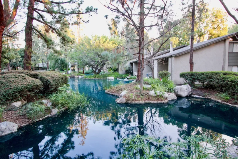 A gorgeous blue pond with a center island at Orange Lakes in Orange CA