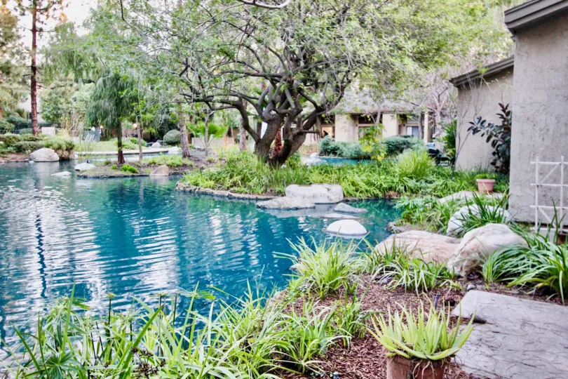 A elegant home in the orange lakes is like a park with trees and plants and also ponds.