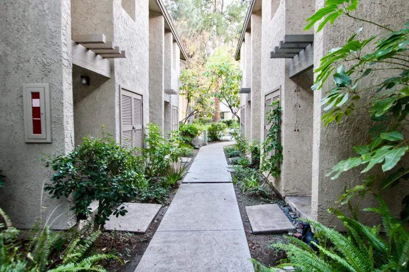 A great day in the Orange Lakes with a path between buildings.