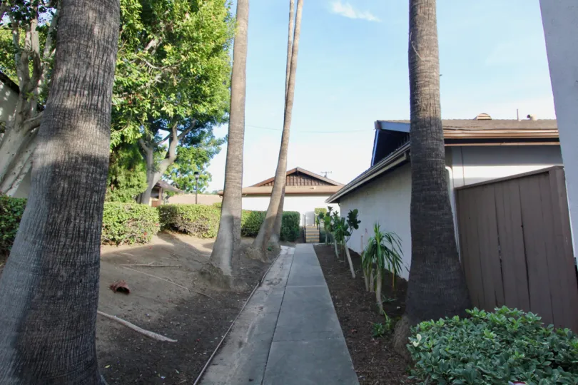 Pathway to stairs of villa in Park 72 has tallest trees with bushes and plants