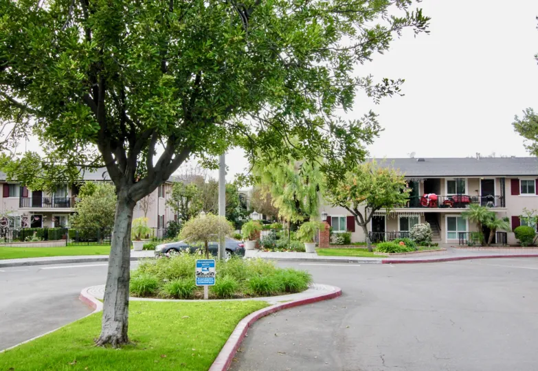 The beautiful buildings in the Park Orleans with road, roadside park, flowering trees, green grass, flowering shrubs and footpath.
