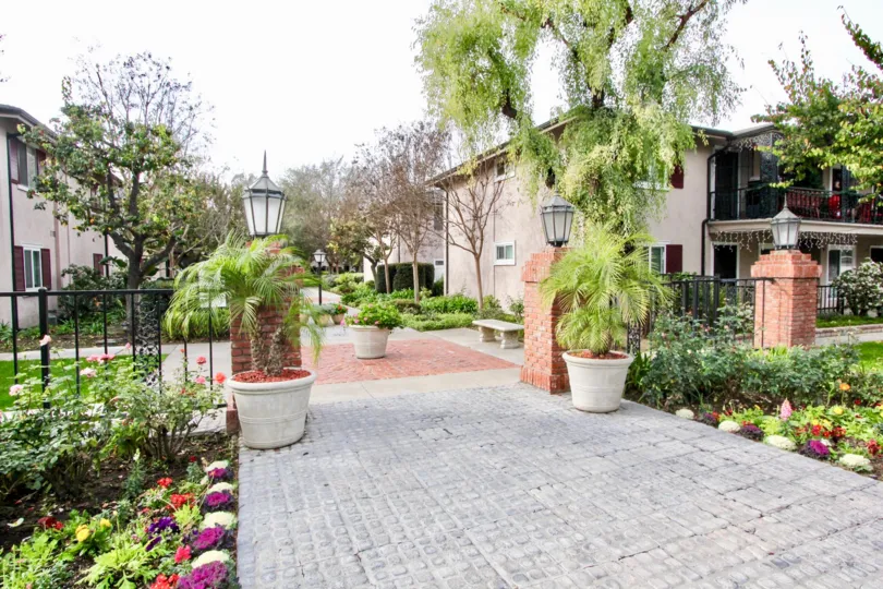 The brick path into Park Orleans with palm trees and potted plants