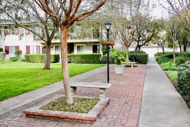A long walking isle made of cement and bricks with trees and cement benches in Park Orleans community.