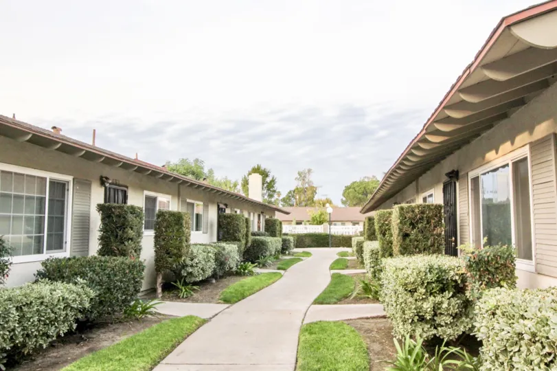 The sidewalk in the Pinewood community with bushes and grass