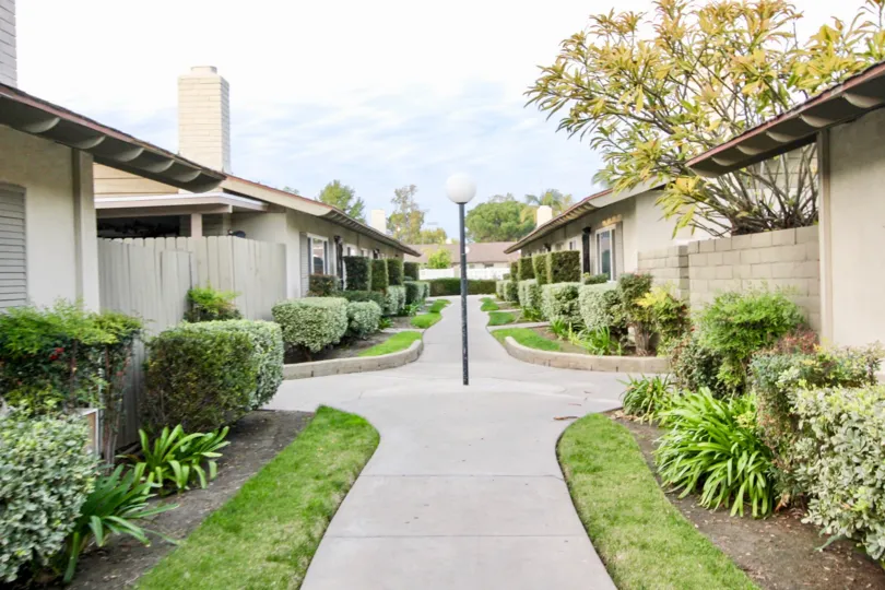 A houses in the pine wood with row houses in that street with full of nature atmosphere. With lots of trees and plants.