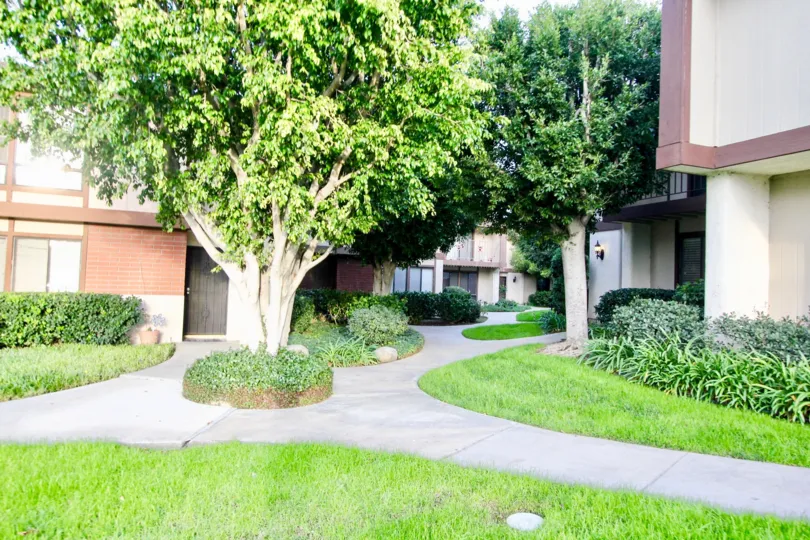 Smoketree Orange Townhomes Orange California part of building with bunch of trees covered shines in a sunnyday