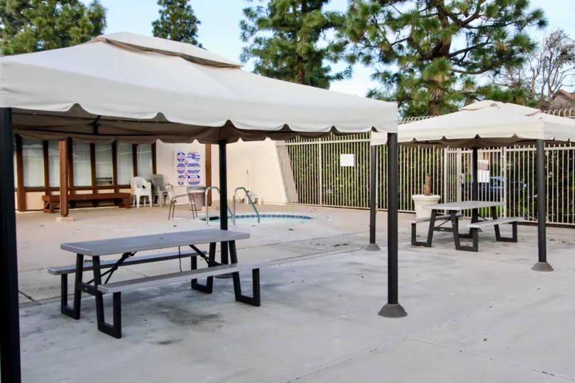A elegant hotel in the smoke tree street with trees and plants with swimming pools and also with some chairs.
