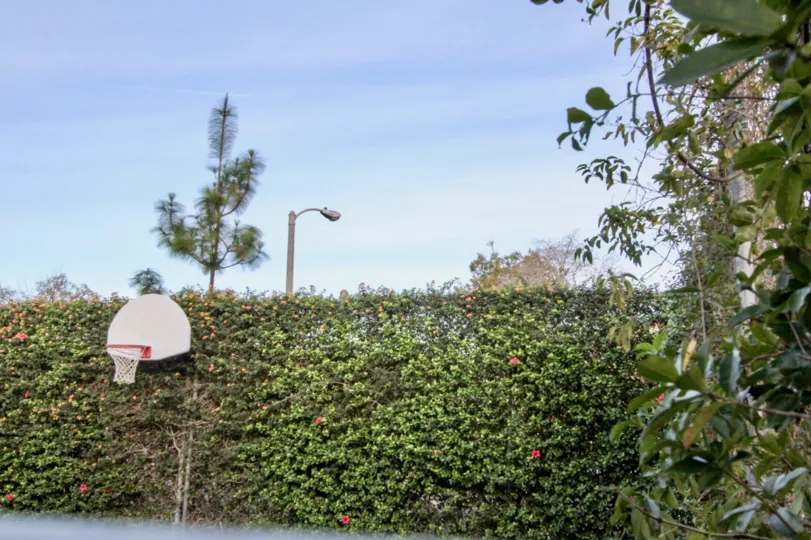 A morning in the Smoketree Orange Townhomes with a volleyball court and street light.