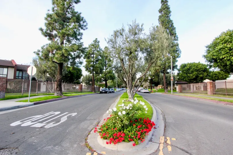 Amazing beautiful scenery of Smoketree Orange Townhomes community, San Francisco, California