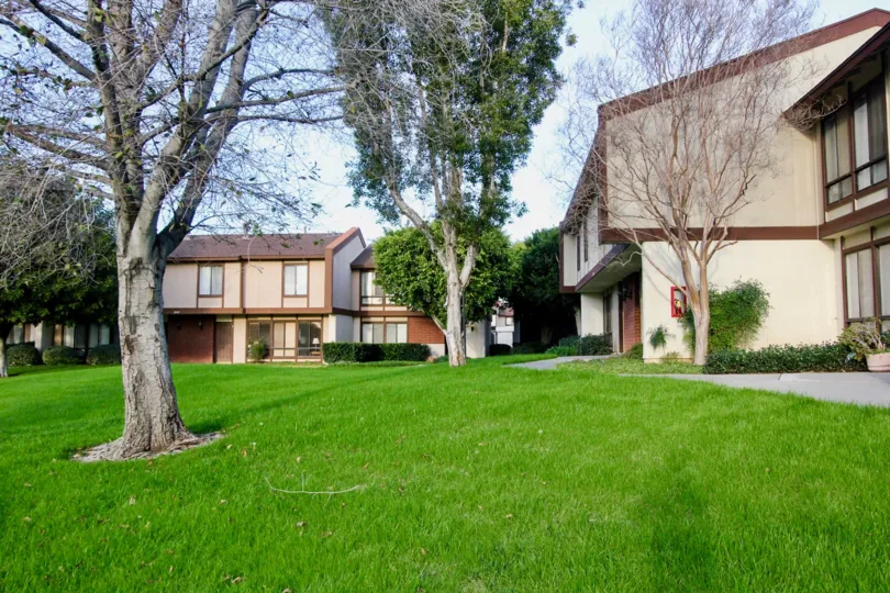 Some puffy green grass behind townhouses in Smoketree Orange Townhomes Orange California.