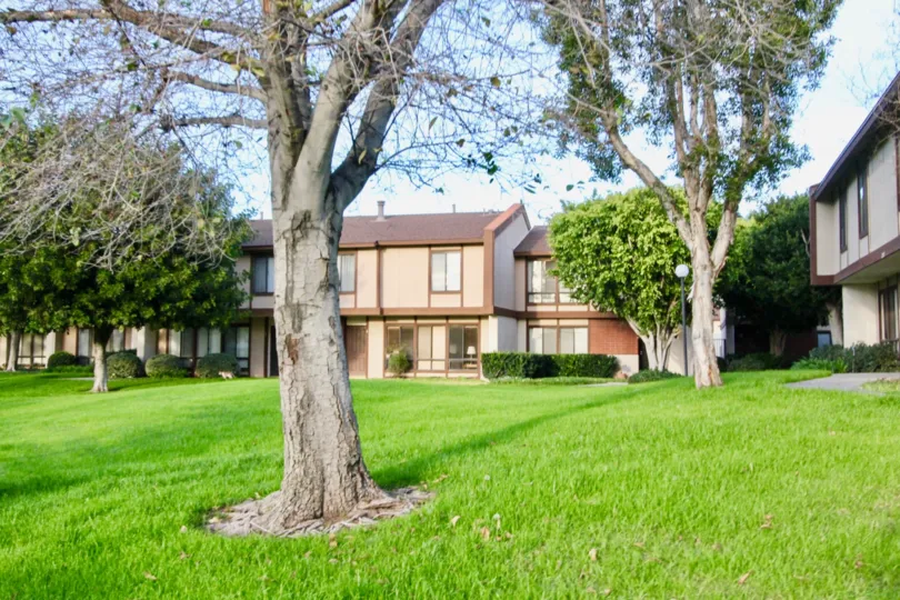 Mature trees surround the lush green lawn at Smoketree Orange Townhomes