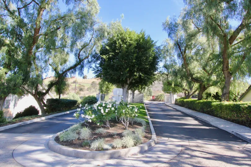 An empty road through a garden with large trees in the Stonehenge community in orange city