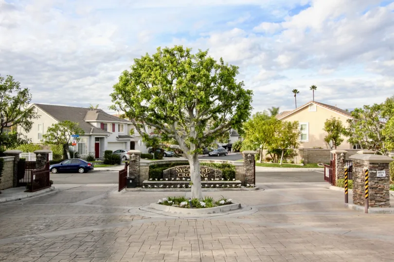 Sycamore Crossing Building have Beautiful Tree at Orange City in Califorina
