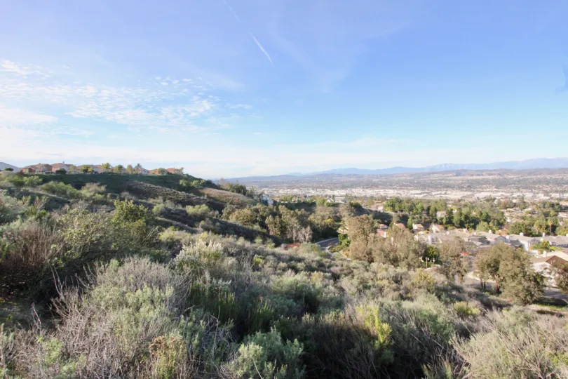 The view from the Bluffs at Belmont with shrubs on a sunny day