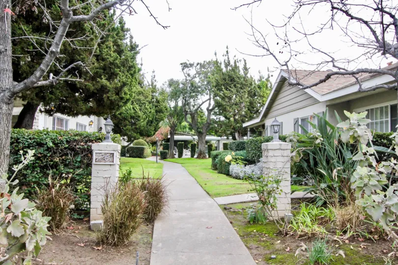 Clean sidewalk leads to a grassy yard woit trees and houses in the Californian community.