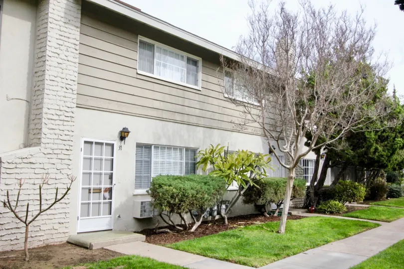 yard with trees and plant in front of the building in The Californian