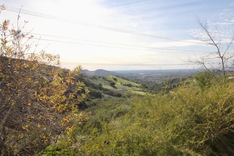 Tremont have Amazing Location with Beautiful at Orange City in Califorina