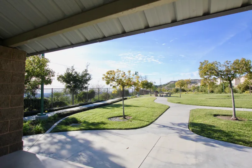 The lawn in the Tremont community with scattered trees and walking paths