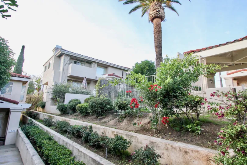 Terrace garden with a palm tree in the background in Villa Heights, Orange, California