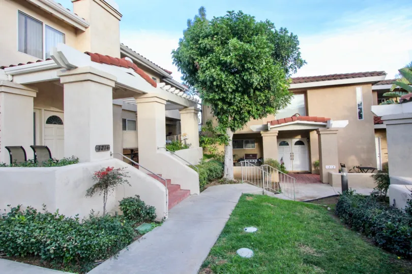 trees and plants in front of the house and front yard view in Villa Heights
