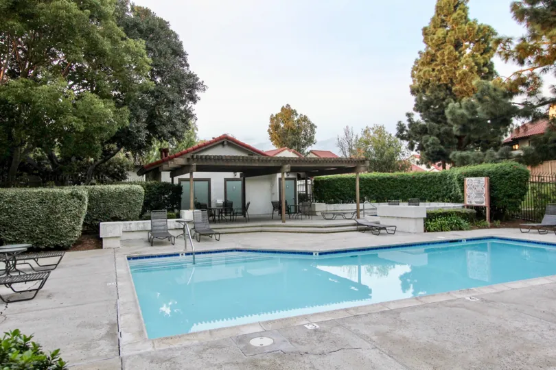 A pool in the Villa La Paloma with bushes and deck chairs