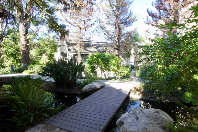 A morning in the Villeurbanne with a wooden bridge and pond.