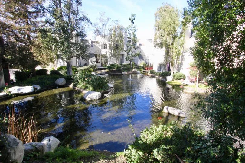 A lake outside in Villeurbanne with rocks and trees on a sunny day