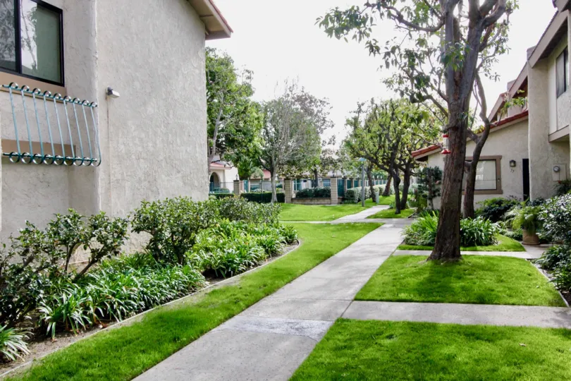 A beautiful day in the Vista Monterey at a small garden between building.