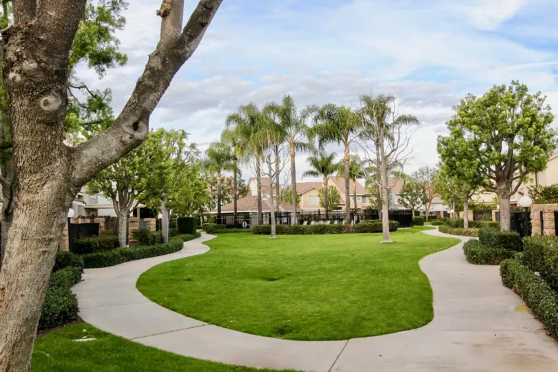 A courtyard lawn in Vista Santiago with pine trees on a sunny day