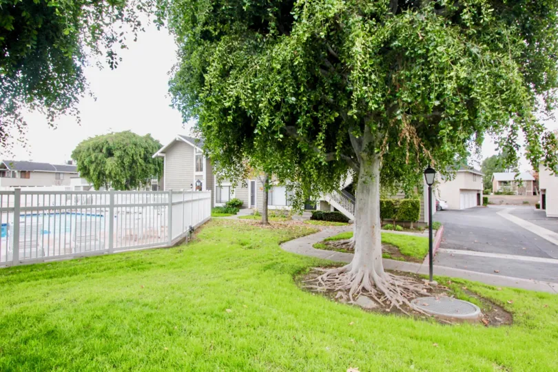Large homes with fenced in pool and large trees in Walnut Village, Orange.