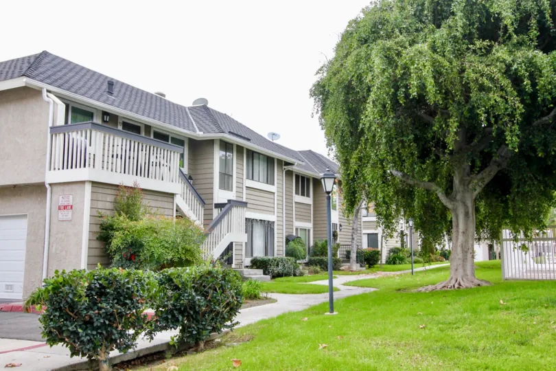 trees and plants in front of the building in Walnut Village