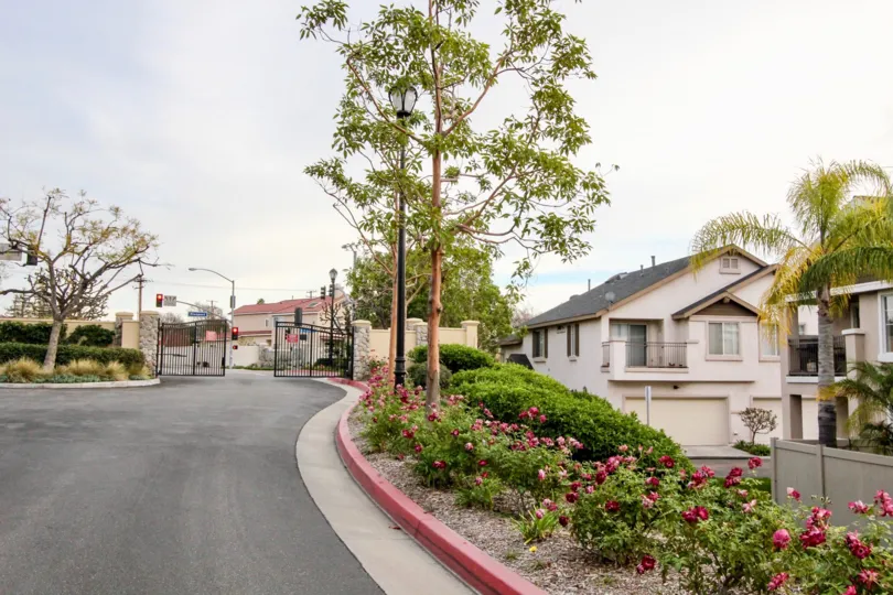 Entrance to Westbury community with flowers and trees in the meridian.