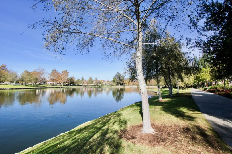A sunny day in the area of Brisa del Lago I, outside, water, trees. grass. sidewalk, flowers