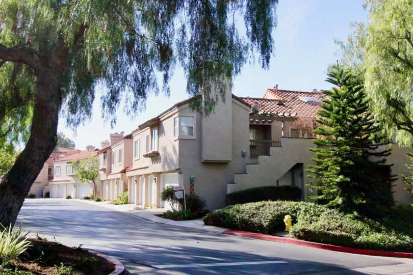 Trees and road at Brisa del Lago I in Rancho Santa Margarita, CA