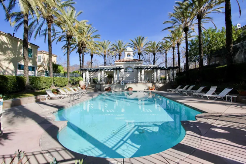 Beautiful palm trees line the patio of the pool at Cierra Del Lago